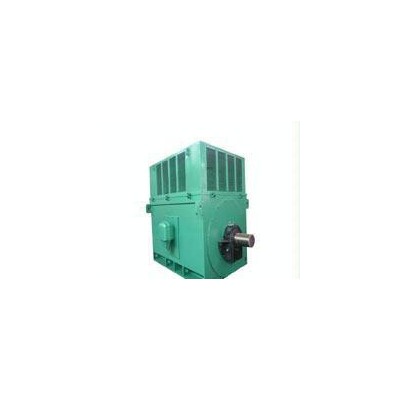 西安泰富西瑪YR10004-12 5000KW 6KV高壓電機(jī) 壓縮機(jī)專用