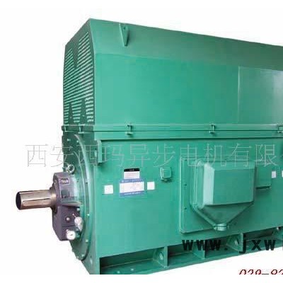 泰富西瑪YKK10008-12 2500KW高壓電機(jī) 壓縮機(jī)專用電機(jī)