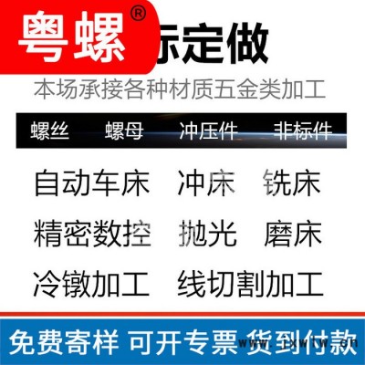 非標螺絲 粵螺螺母 螺栓 非標五金零件廣州不銹鋼螺絲廠 數(shù)控車床