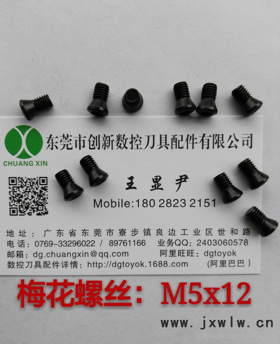 數控刀具配件  梅花螺絲M5x12   車刀壓板  銑刀壓板  紅旗扳手