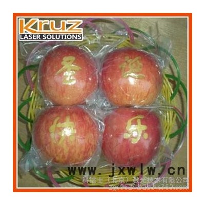 充電器激光鐳雕機 數(shù)據(jù)線紫光鐳雕機 紫外激光打標機直銷