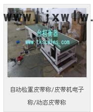 臺(tái)柯衡器 自動(dòng)化電子秤  皮帶秤  自動(dòng)檢重皮帶稱/皮帶機(jī)電子稱/動(dòng)態(tài)皮帶稱