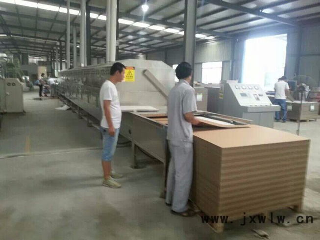 ZD-150KW微波牛皮紙干燥設備