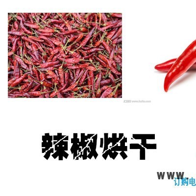 辣椒烘干機(jī)，辣椒烘干設(shè)備，辣椒干燥設(shè)備，辣椒熱泵烘干機(jī)