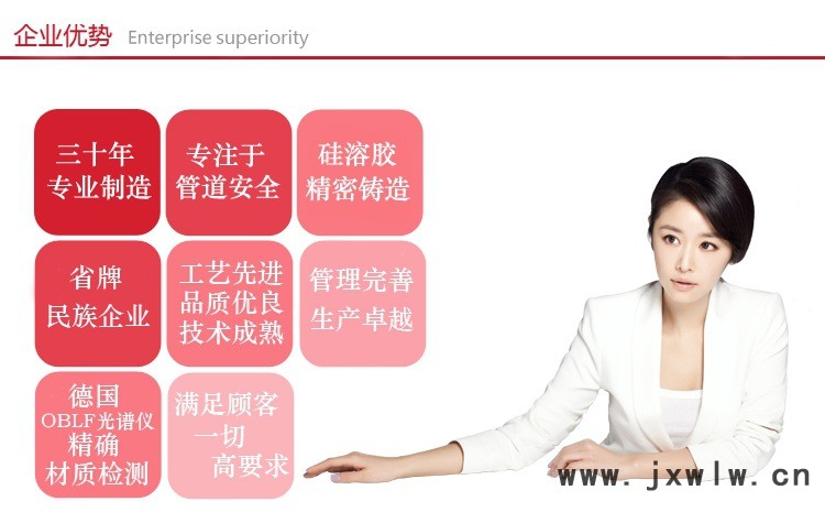 企業(yè)介紹