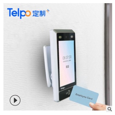 刷臉考勤機(jī) 混合身份識別 單目 天波廠家直銷TPS980 人臉識別門禁